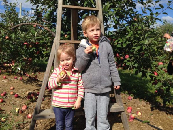 kid’s food eating issues problems Children Feeding issues